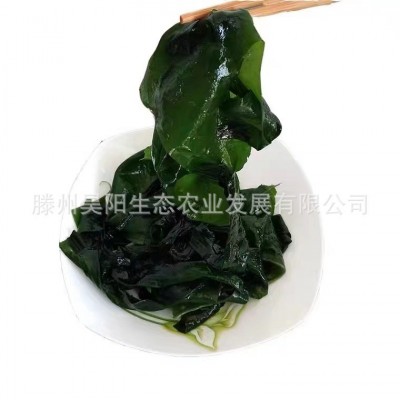 裙带菜干货批发裙带菜批发裙带菜一级裙带菜宝宝烘干脱水裙带菜图5