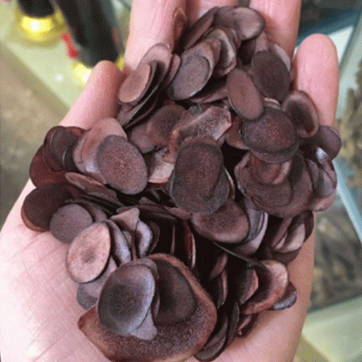 鹿茸片东北特产厂家销售 泡酒煲汤鹿茸血片会销礼品图4