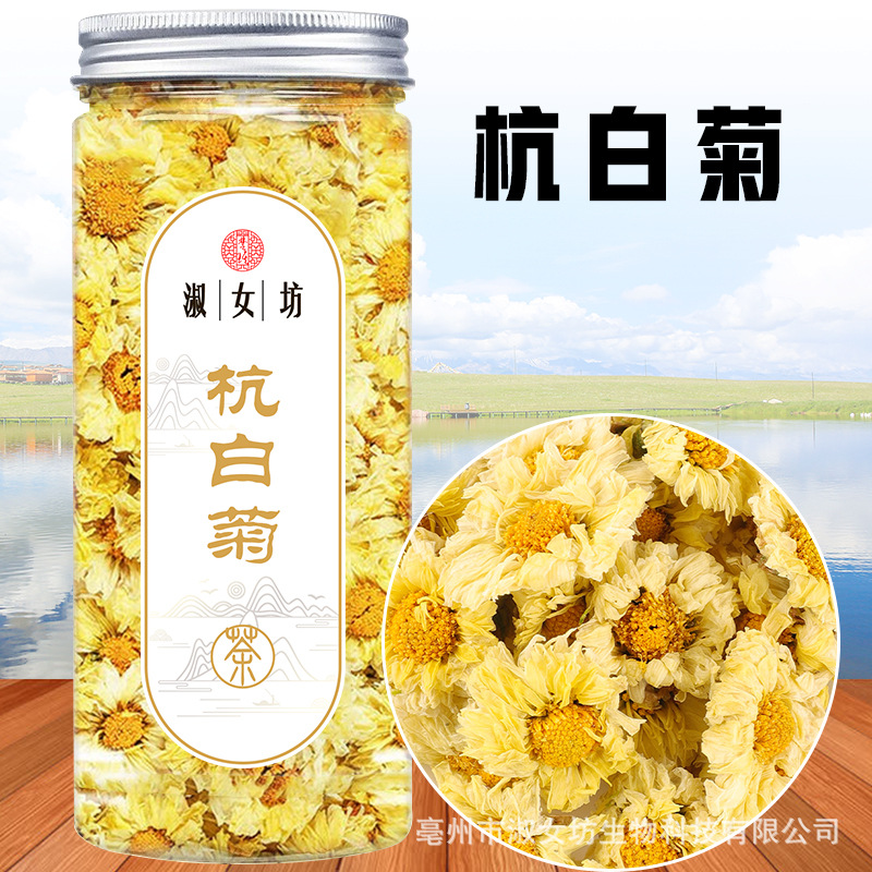 杭白菊.jpg