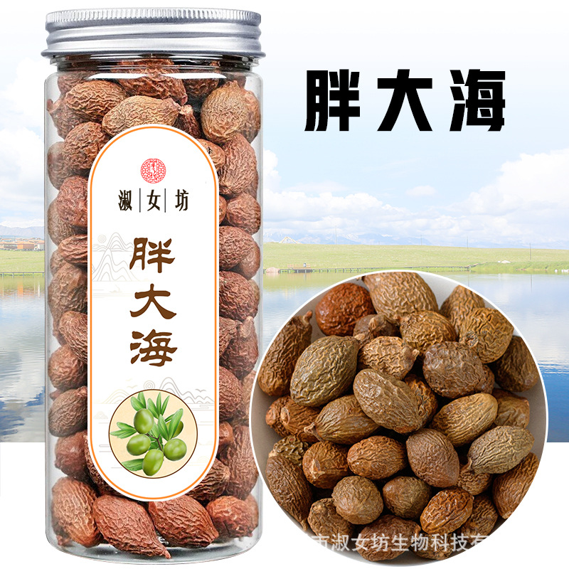 胖大海.jpg