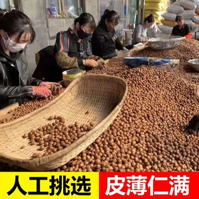 东北特产 榛子 开口榛子 大榛子 铁岭榛子 坚果干货手拍榛子 500g图3
