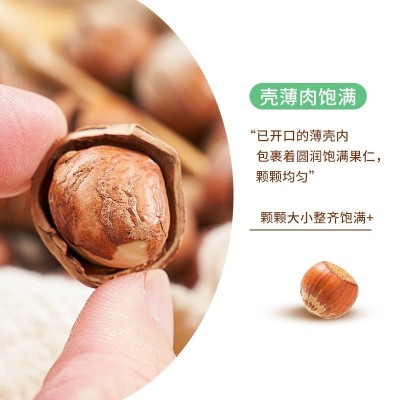 东北特产 榛子 开口榛子 大榛子 铁岭榛子 坚果干货手拍榛子 500g图2