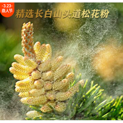 破壁野生长白山松花粉批发食品级天然松花粉片正品中药调理粉养生图4