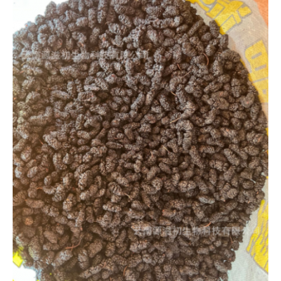 原产地大货水洗黑桑葚干桑椹干不熏不染农产品无沙免洗冲泡桑葚茶图3
