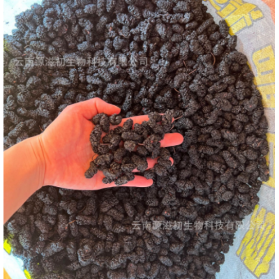原产地大货水洗黑桑葚干桑椹干不熏不染农产品无沙免洗冲泡桑葚茶