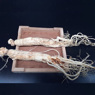 长白山人参，白参，生晒参500克一盒图3