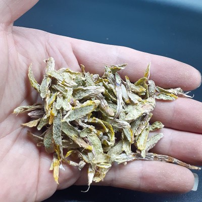 云南铁皮石斛批发，枫斗，干条，切片图2