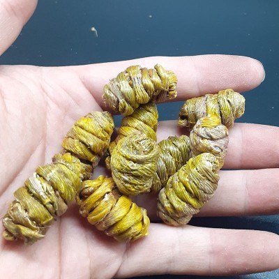 云南铁皮石斛批发，枫斗，干条，切片图4