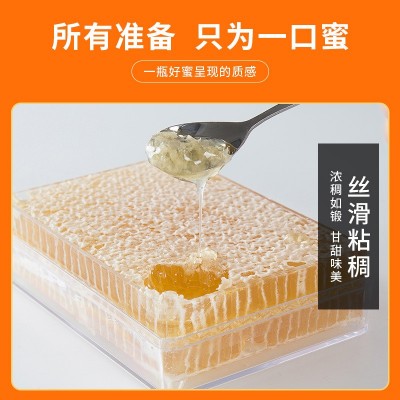 颍海蜂巢蜜500g批发土蜂蜜成熟封盖蜜蜂蜜荆条蜂巢蜜图3