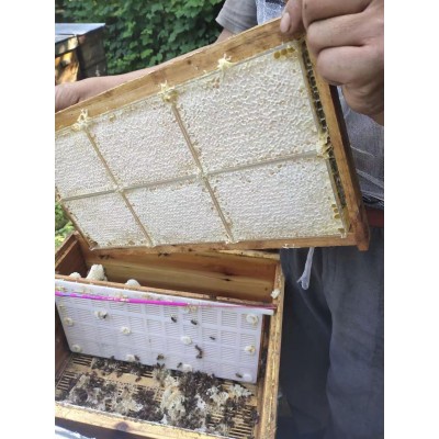 颍海蜂巢蜜500g批发土蜂蜜成熟封盖蜜蜂蜜荆条蜂巢蜜图5
