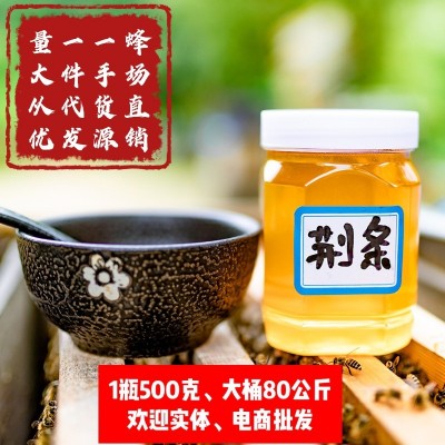 新荆条蜂蜜 批发500克装 农家土蜂蜜 厂家直批蜂蜜 荆条原蜜散装