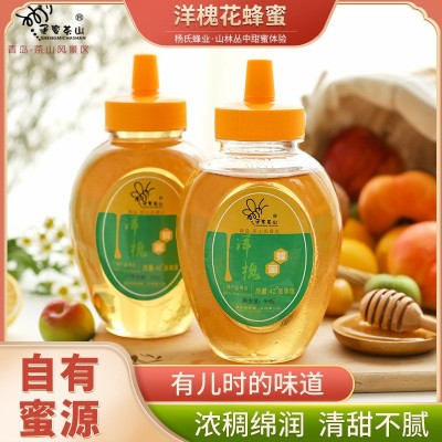 槐花蜜960g 农家自产礼盒装洋槐蜜 圣蜜茶山蜂蜜厂家批发