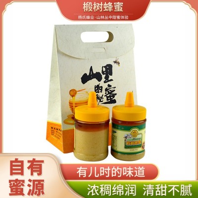 厂家批发椴树蜂蜜 500g罐装椴树原蜜礼品批发 平度蜂场自制原料蜜