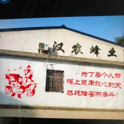 秦岭土蜂蜜散装大桶洋槐蜜枣花蜜150斤大货液体结晶都有库存充足图4
