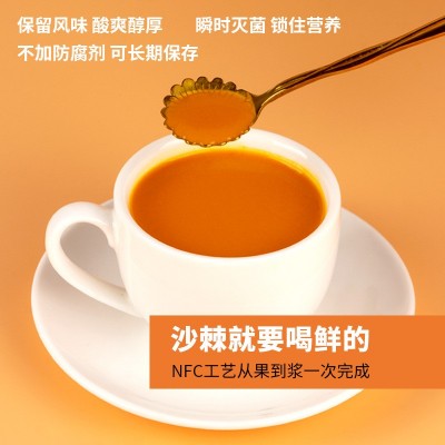 100%沙棘原浆 750ml袋装 含果油沙棘果汁批发代理沙棘汁 一件代发