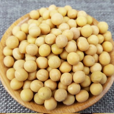 和粮农业 溢田 有机大豆 黑龙江黄豆芽豆发豆芽 厂家批发图2