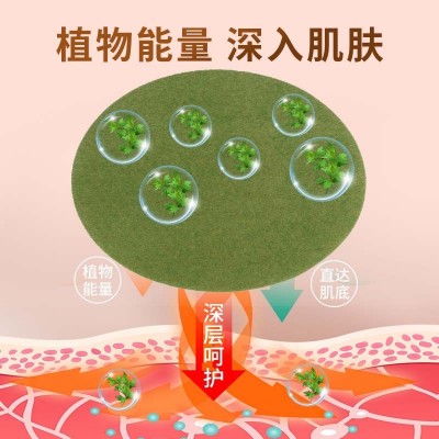 国药集团天目湖艾贴艾草贴 艾灸贴艾腰贴 美腰贴 艾草热敷温灸贴图3