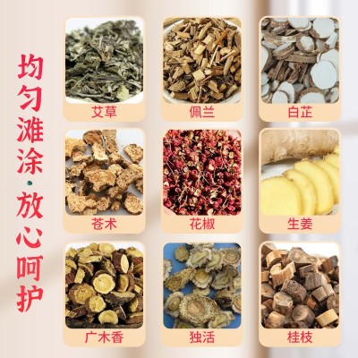 国药集团天目湖蝶臂贴 纤臂贴 艾草贴 温灸贴 部位 蝶臂贴批发图4