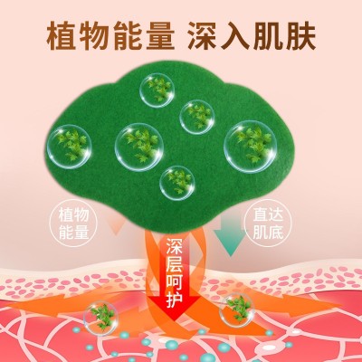国药天目湖美腰贴 艾草贴 温灸热敷贴 护腰贴 艾草贴 美腰贴批发图3