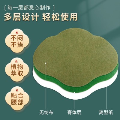 国药天目湖美腰贴 艾草贴 温灸热敷贴 护腰贴 艾草贴 美腰贴批发图4