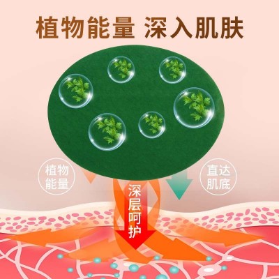 国药天目湖艾腰贴 艾草美腰贴艾草贴温灸热敷贴 艾灸贴艾腰贴批发