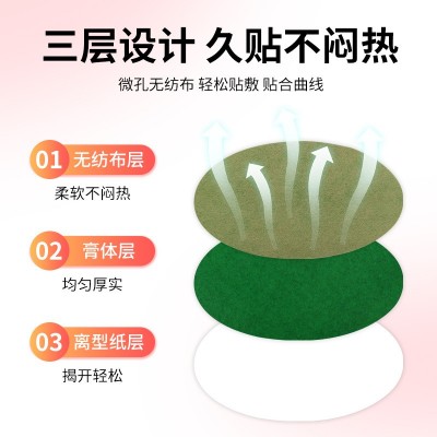 南京同仁堂绿金家园艾草护腰贴艾腰贴美腰贴懒人贴艾腰贴艾灸贴图2