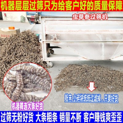 虫草参 批发展会干地参粗条干货 厂家供应高品质地参 虫草参图3