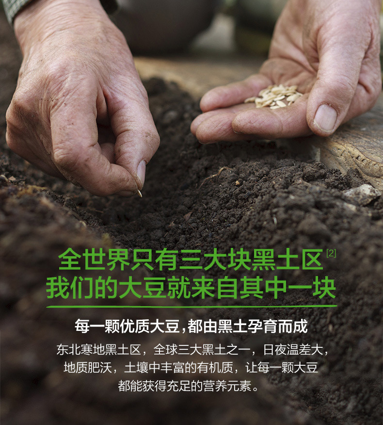 蛋白粉
