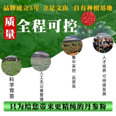 丹参粉云南文山紫丹参超细粉250克丹参代磨粉250g图3