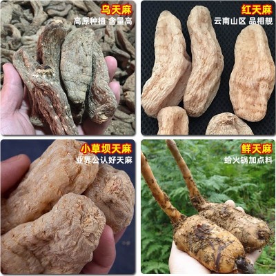 天麻云南昭通小草坝天麻整个天麻500g干天麻片可代磨粉图2