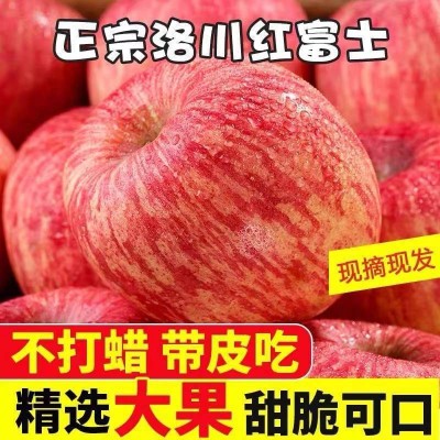 陕西苹果果园-佛迪绿色果品-陕西哪的苹果好吃图5