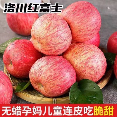 今日苹果批发行情 苹果产地 山东红富士苹果 水晶富士批发价格图5