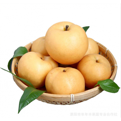 皇冠梨 赵县皇冠梨产地 *申请 做水果 我们是认真的图4