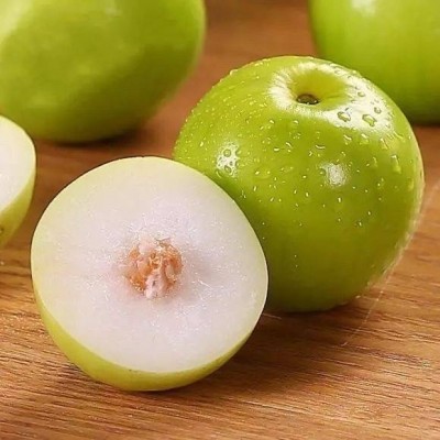 满园香(图)|苹果枣果园批发|苹果枣果园
