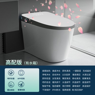 荷兰便携式冲水移动马桶坐便器北京总代理,房车全密封荷兰便携式马桶坐便器**