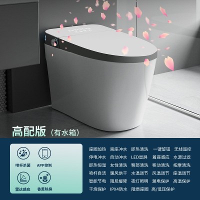 荷兰便携式冲水移动马桶坐便器北京总代理,房车全密封荷兰便携式马桶坐便器**图3