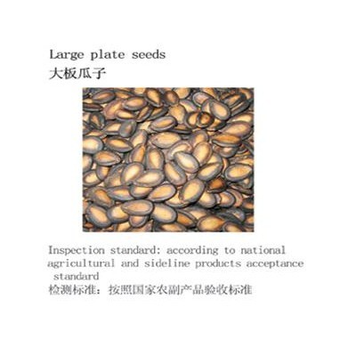 供应大板瓜子 大板瓜子批发 大板瓜子批发价图5