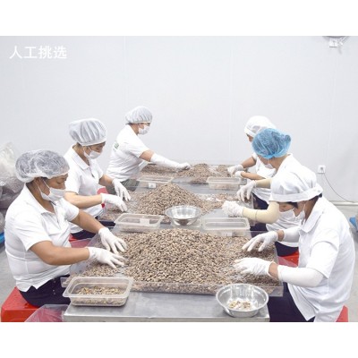 供应大量瓜子厂家批发 奶油小瓜子 诚招代理 瓜子厂家**
