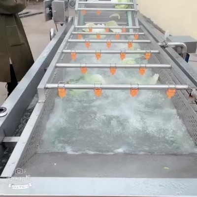 樱桃清洗机价格_樱桃清洗机_诸城汇鸿机械