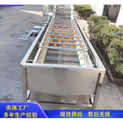 蓝莓清洗机/甘肃红枣清洗机