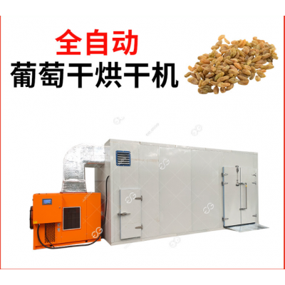 葡萄干干燥设备_干燥设备_凯航干燥图2