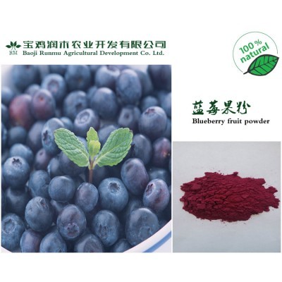 新鲜水果 蓝莓粉 全水溶 蓝莓果汁粉 蓝莓果粉图5