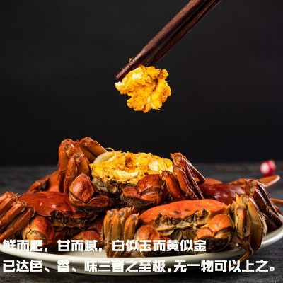 苏州**阳澄湖大闸蟹 苏州**阳澄湖大闸蟹供应商图2