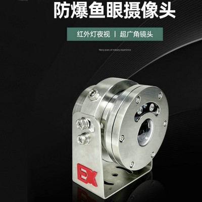 ZAJS400防爆监视器