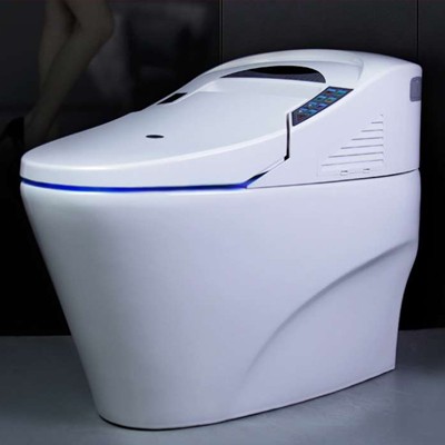 和佳庭一体式智能坐便器1101智能马桶无水压限制厂家**