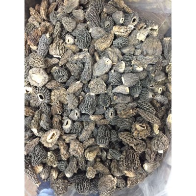 深圳上海北京羊肚菌干货配送/羊肚菌冻货批发零售