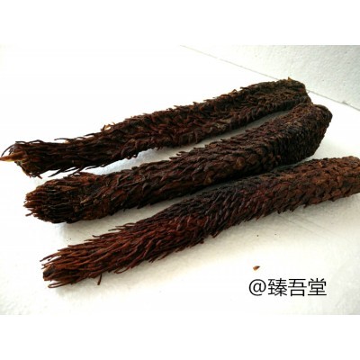 沙漠人参**阿拉善肉苁蓉价格图1