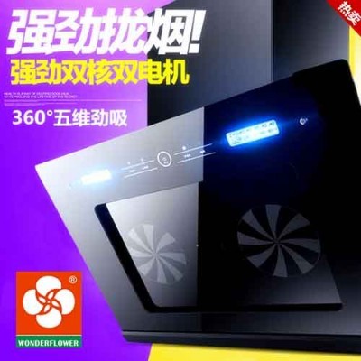 厂家批发双电机双抽吸油烟机侧吸式钢化玻璃家用厨房吸油烟机