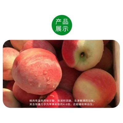农场** 山东蜜桃 5斤净果装 现摘现发 40包邮到家