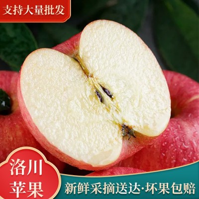 陕西膜袋红富士苹果